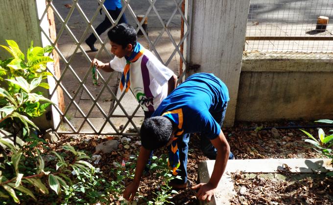 Cleaning a potential dengue  mosquito breeding site