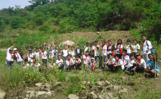 Tree Planting