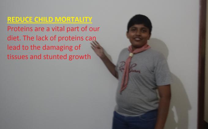  6 Month Community Development Project B) REDUCE CHILD MORTALITY 