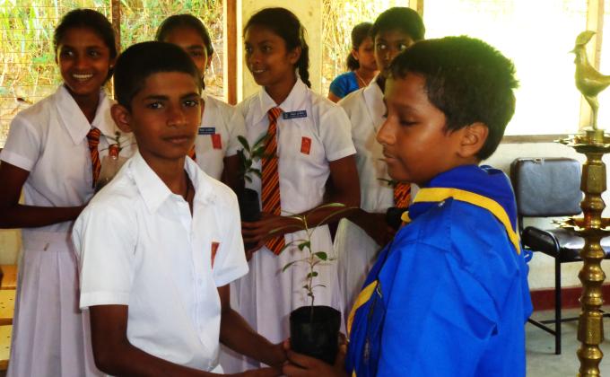 Tree donations for the world environment day