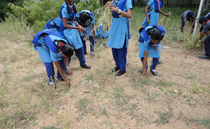 cleaning campaign