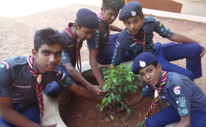 preservation of greenary