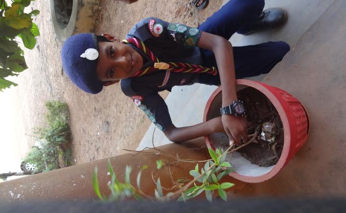 preservation of greenary