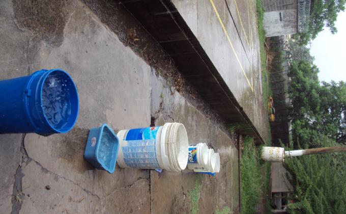 Ice Bucket Challenge Version Scout
