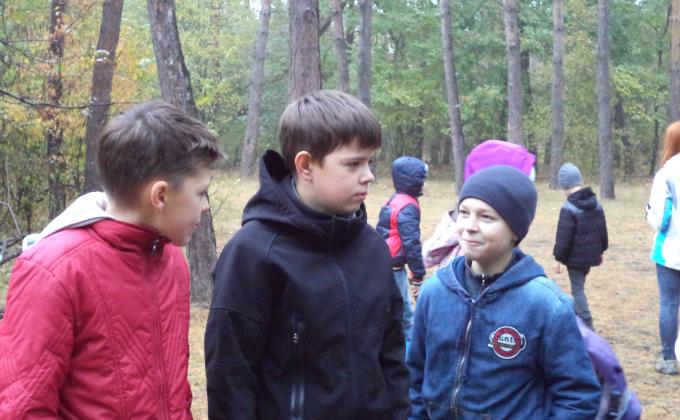 Выезд в лес