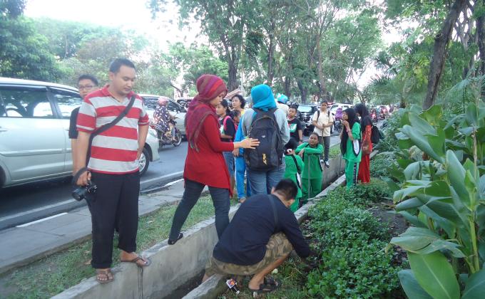 Buat Lubang Jalur resapan Dijalur hijau Surabaya, indonesia