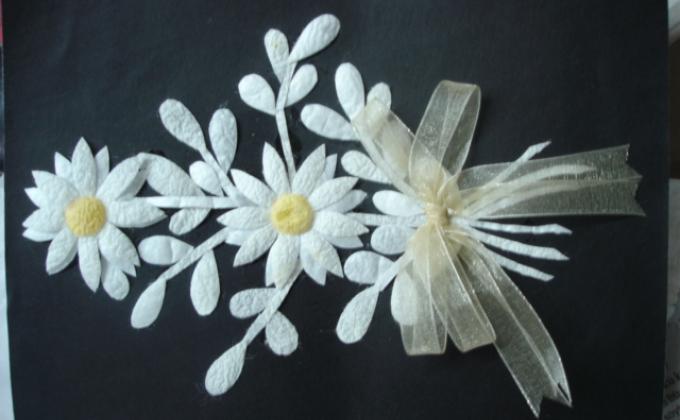 producing an art with silk cocoons after the silk butterfly left it