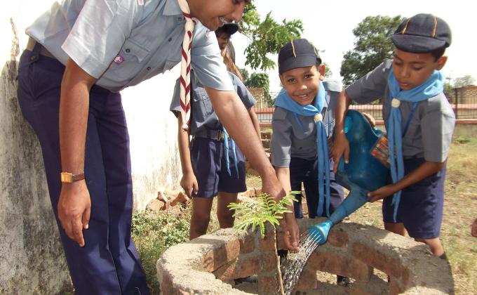 tree plantation
