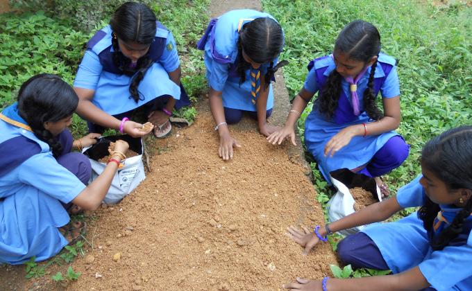COMMUNITY DEVELOPMENT
