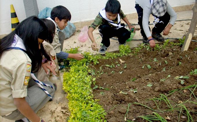 Cuidemos nuestra naturaleza