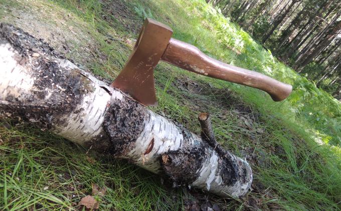 Advanced Wood Badge training for Russian leaders