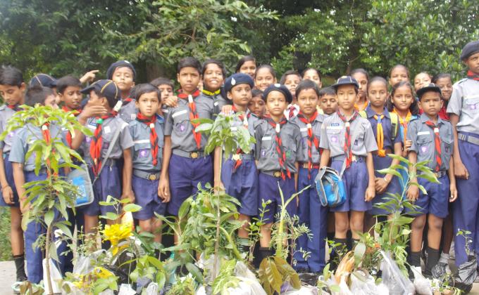 Observing Plantation Week