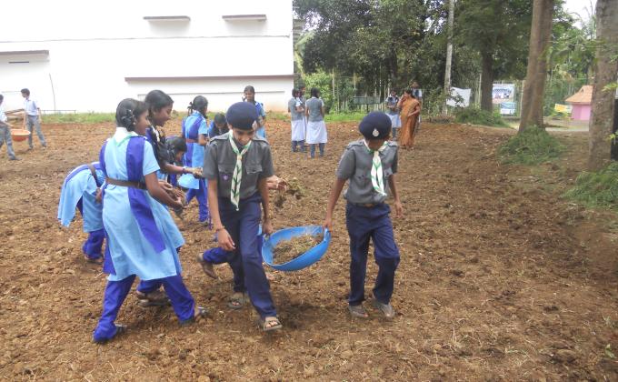 Vegetable Garden