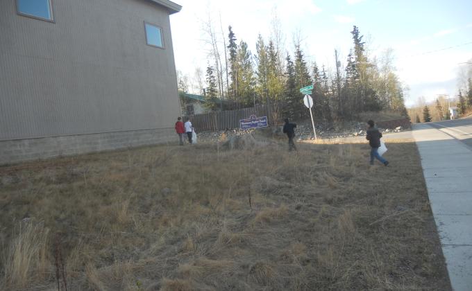 Spring Clean up