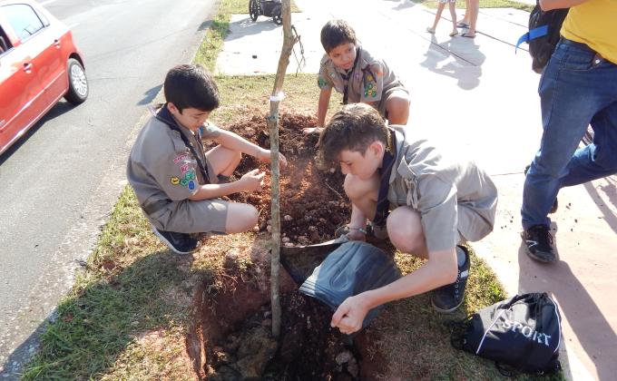 PLANTIO DE ÁRVORES,  AÇÃO COMUNITÁRIA E DE MEIO AMBIENTE