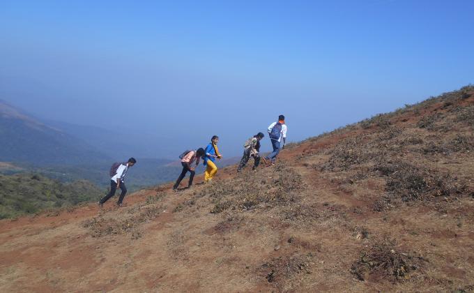 annual tracking