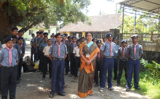 Tree plantation