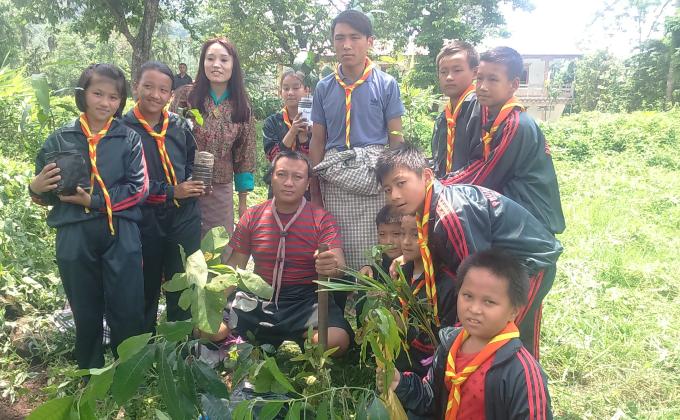 Plantation of fruits sappling 