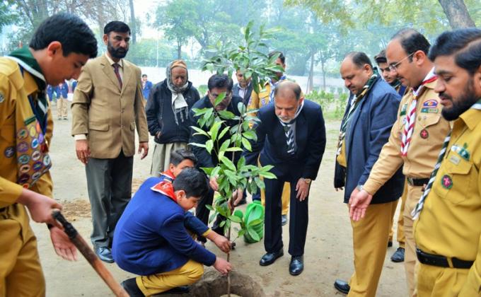 Tree Plantation Project