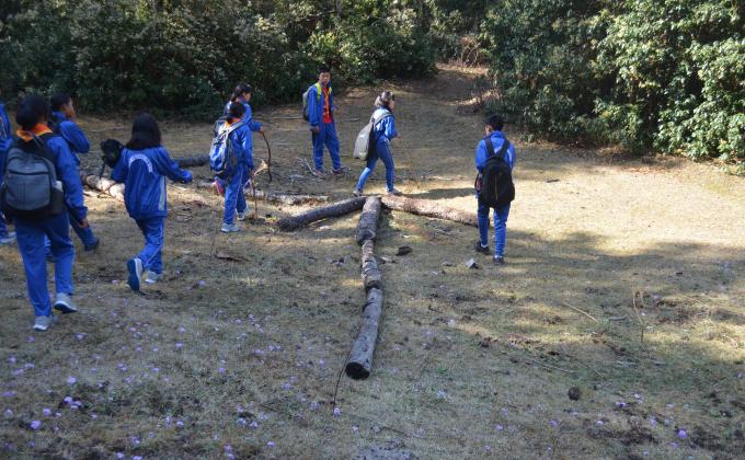 Echo Rover Crew Sunset Beach Camp