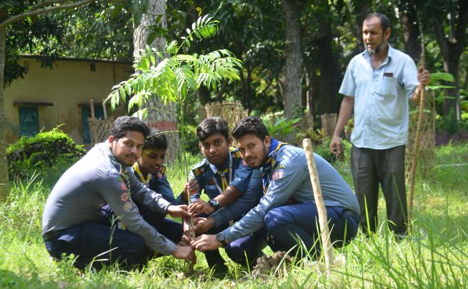 Tree Plantation 
