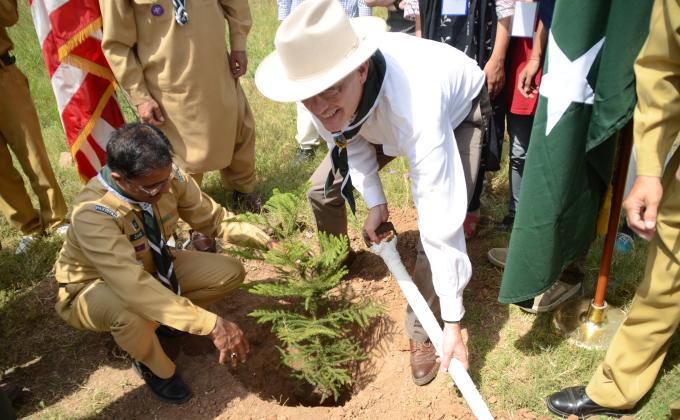 Tree Plantation