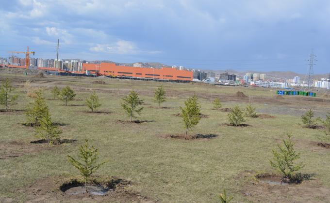 Watering tree is important action