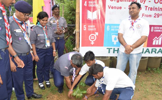Tree Plantation Program