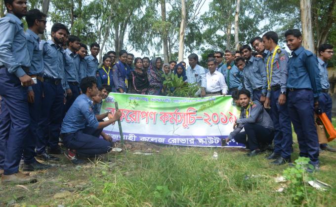 Tree plantation 