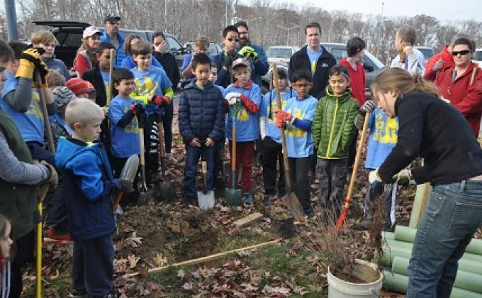 Native Tree Planting