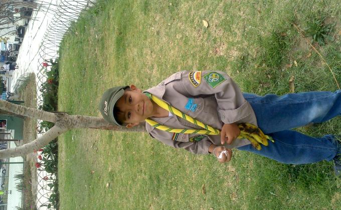 remodelando el parque