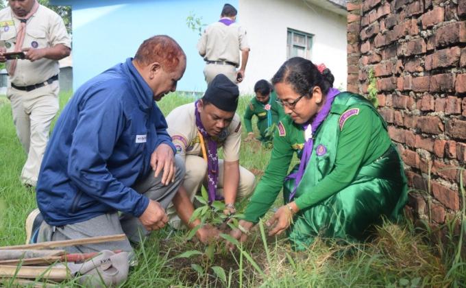 Green city for plantation 