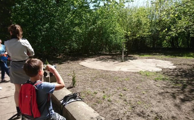 Nature squaere for 56 Primary School - Skwerek dla 56 Szkoły Podstawowej