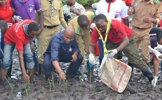 Mangrove Rehabilitation Project