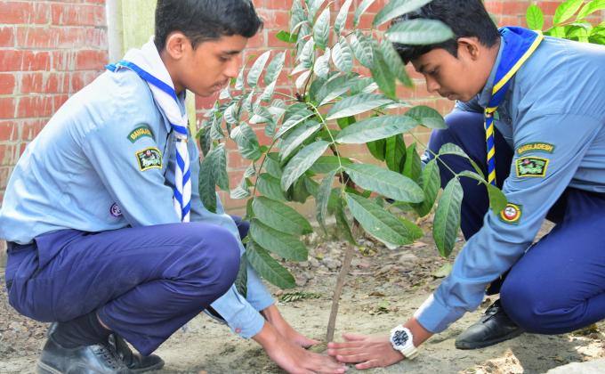 Tree Plantation Programme 