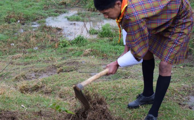 Tree Plantation