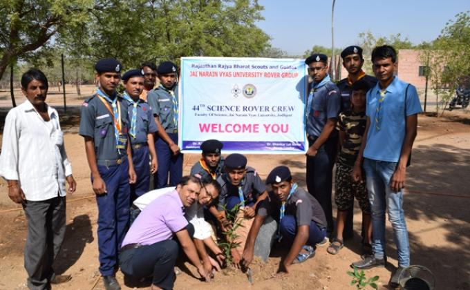 Plantation on Environment Day 2016