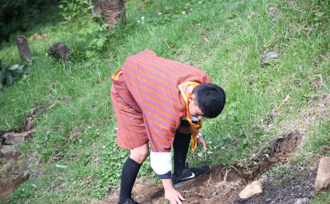Social forestry day