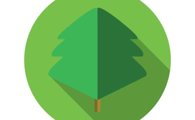 Environmental Project- "Un árbol para la vida"