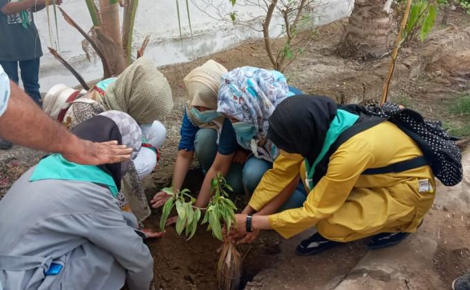 Tree plantation 