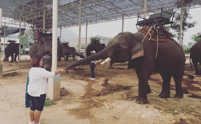 กิจกรรมช่วยเหลือสัตว์ร่วมโลก