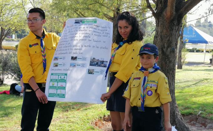 Mares Limpios Bronce y Plata
