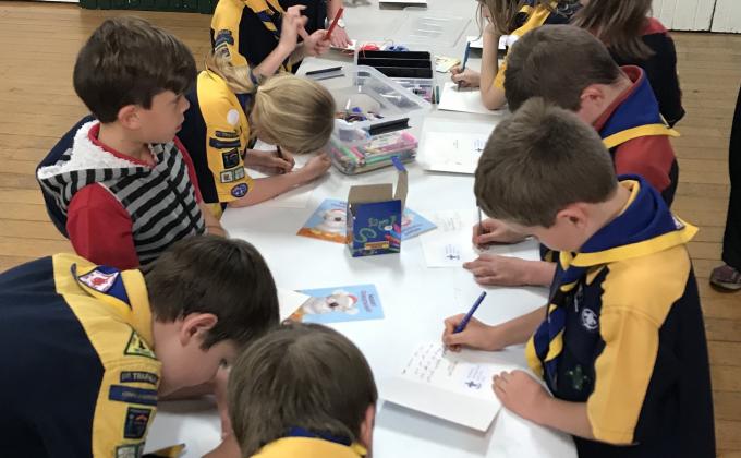 Cub Scout Messengers of Peace Local Community Project
