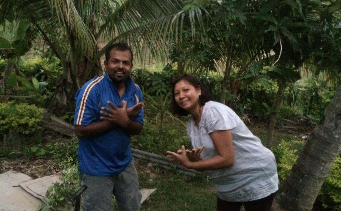 Plant a Tree for Peace