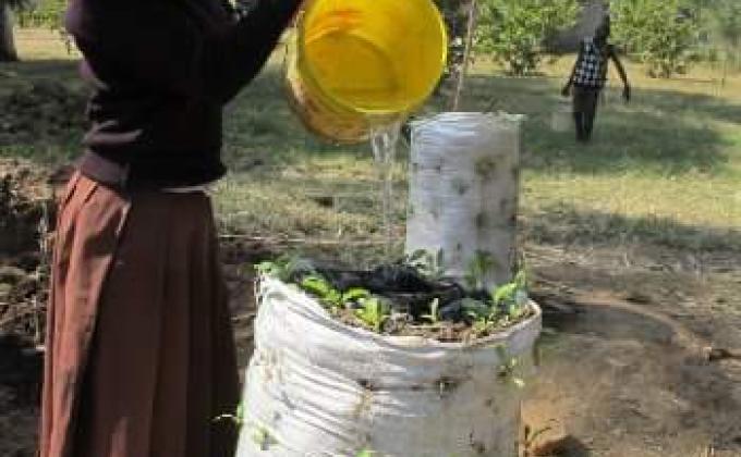 S2S - Project (Scout to scout) SAT - Sustainable  agriculture Tanzania 