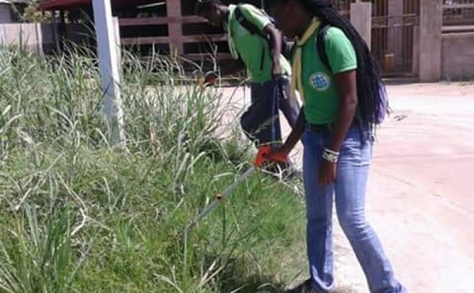 wild life scouts