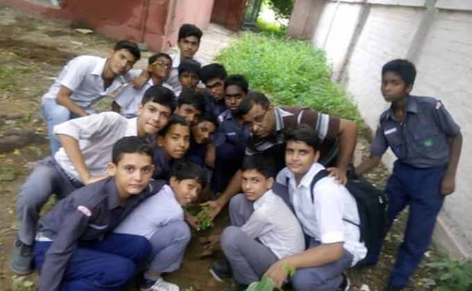 Tree plantation 