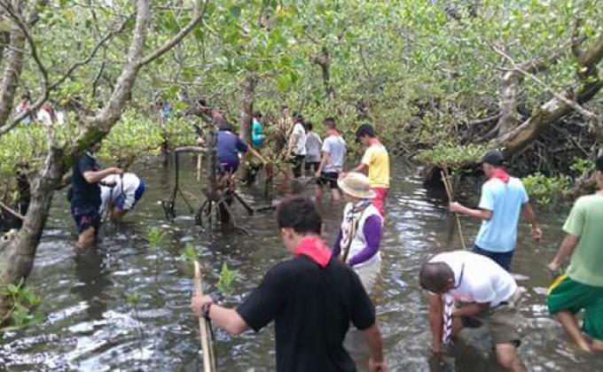 Planting Mangrove