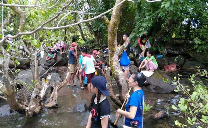 Mangrove planting