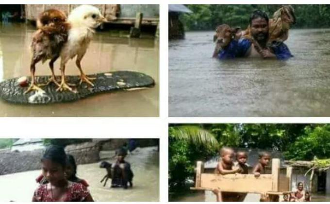 Flood resque and relif nepal